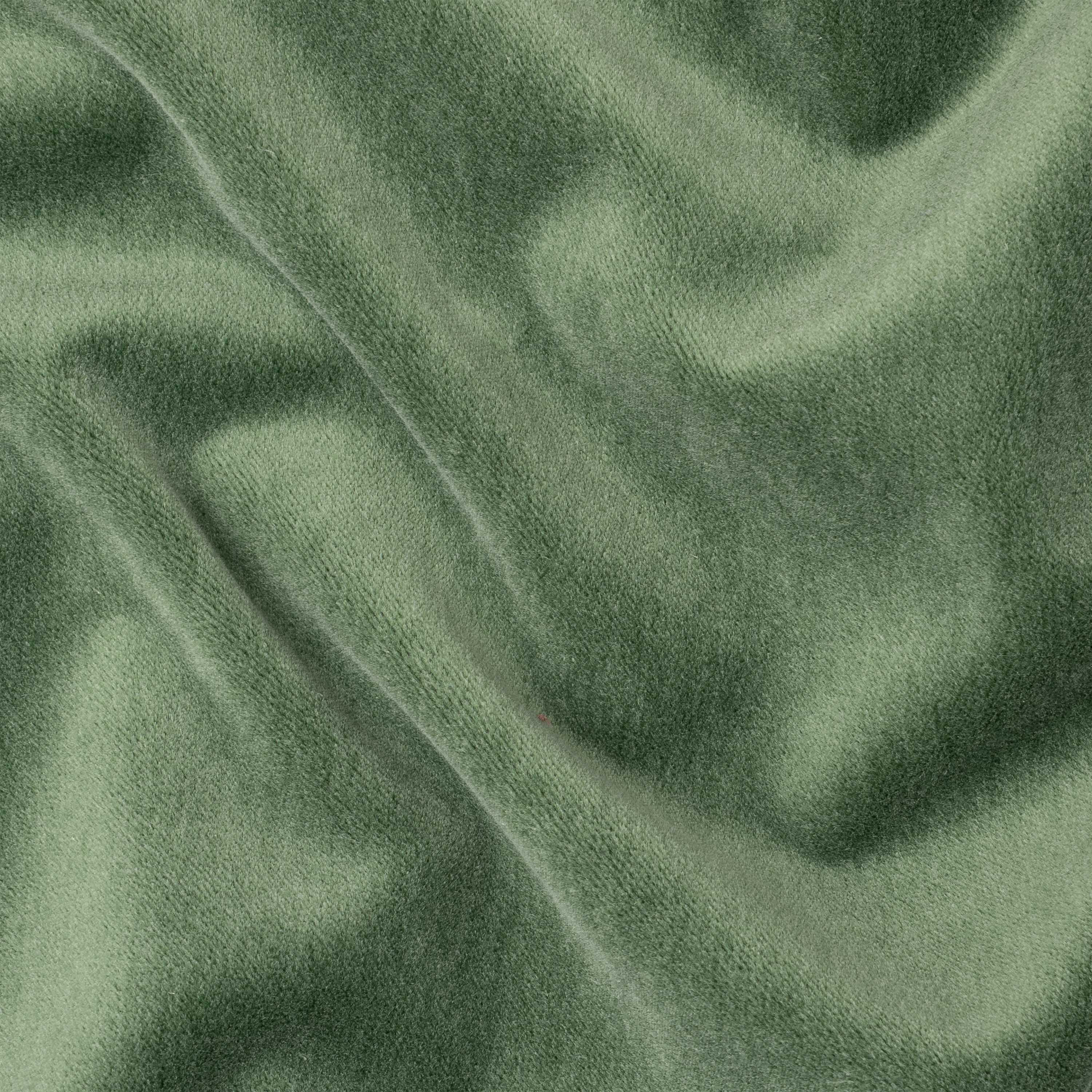 Fern 521