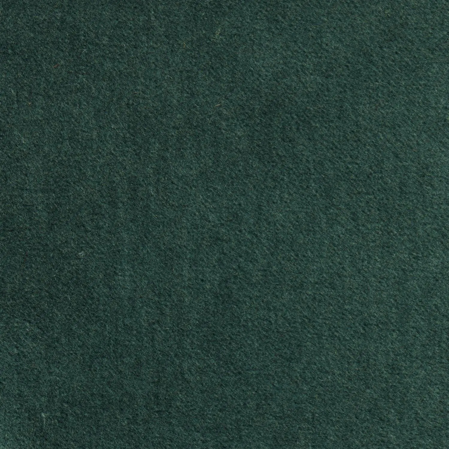 Pine 522