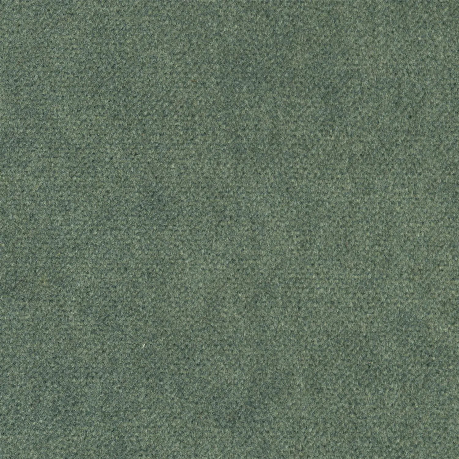 Moss 511