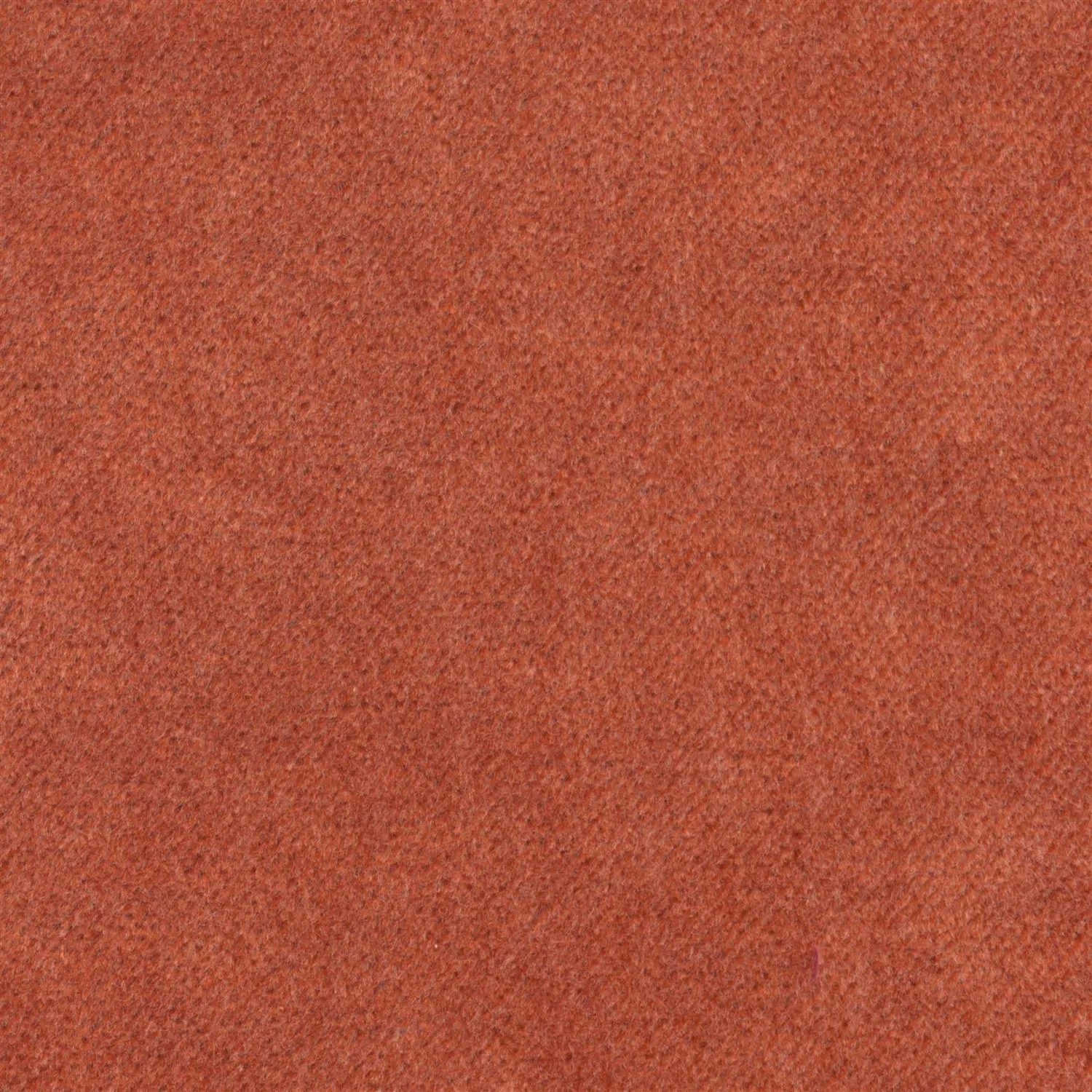 Coral 301