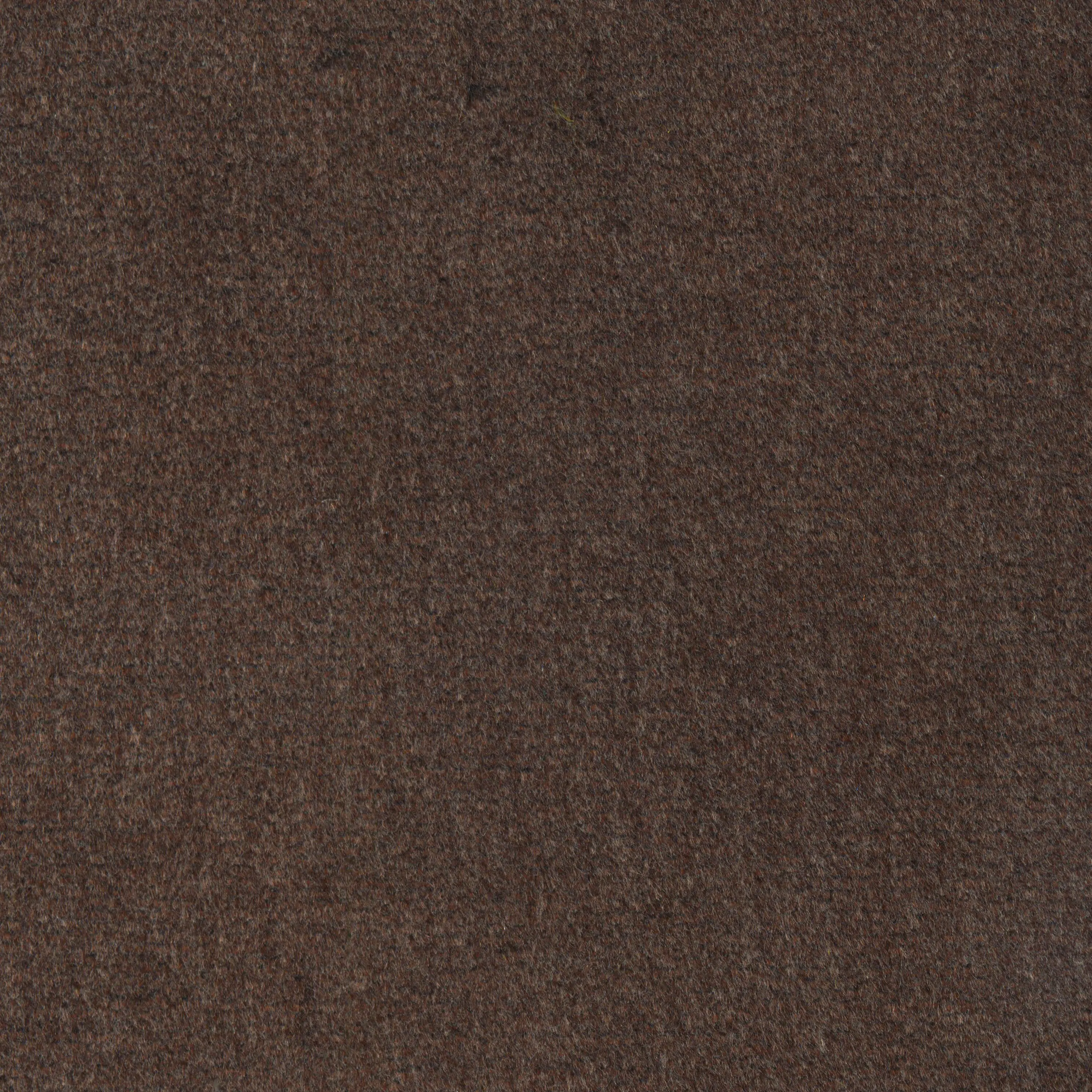 Carob 103
