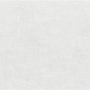 Snow 05