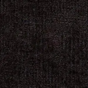 Raven 15