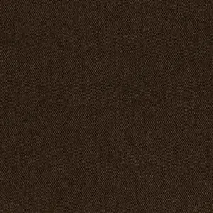Coal