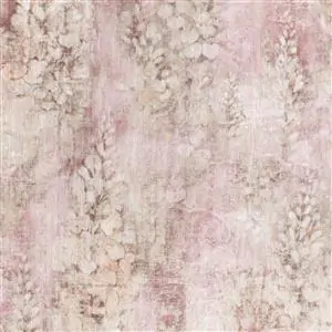 Orchid 07
