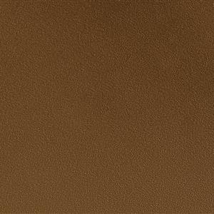 Sepia 17
