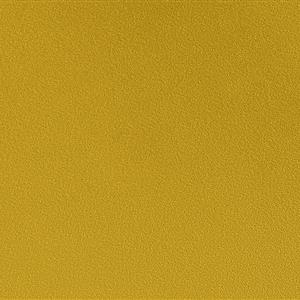 Butterscotch 41