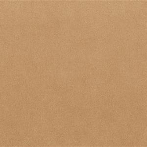 Amber Glow 1110