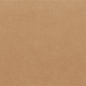 Dune 1254
