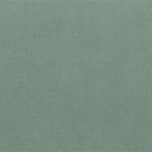 Celadon 2156