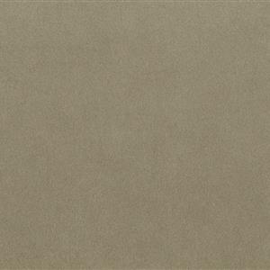 Almond 2161