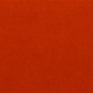 Orange 4131