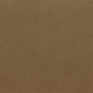 Dark Camel 4077