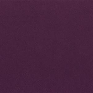 Violet 6601