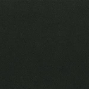 Slate Black 9901