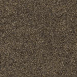 Mocha P210