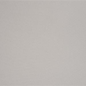 Silver 006