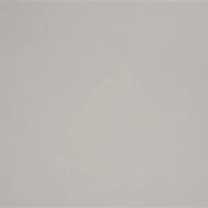 Silver 006