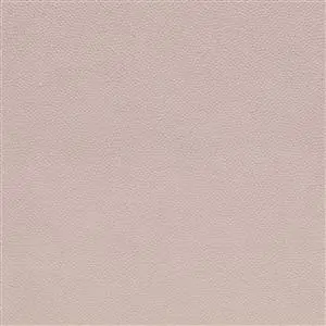 1100 Sea Sand