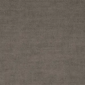 Taupe 04