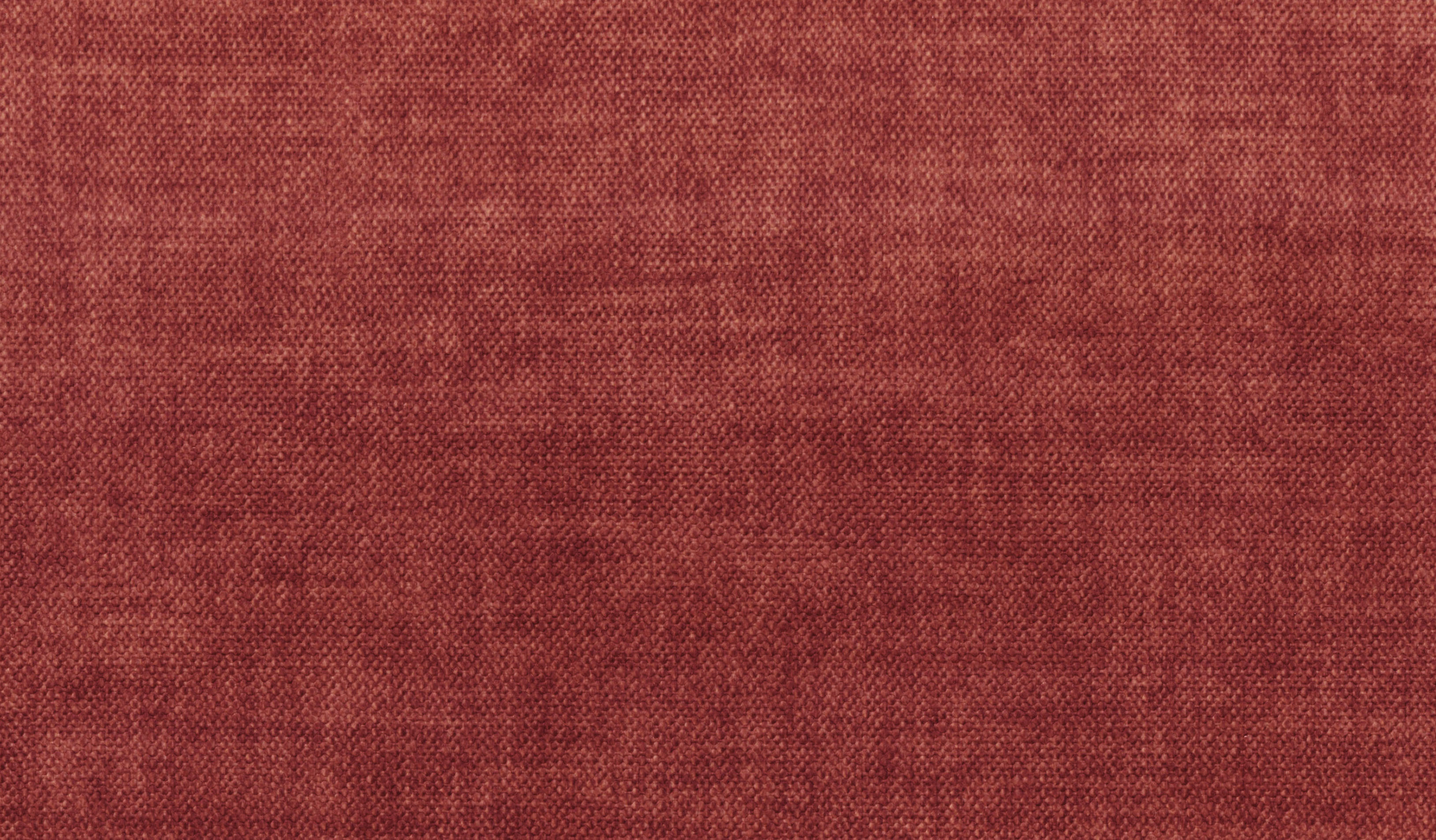 Coral 08