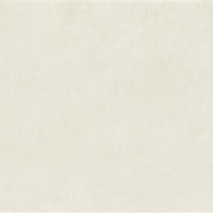 Ivory 01