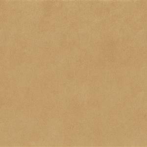 Camel 11