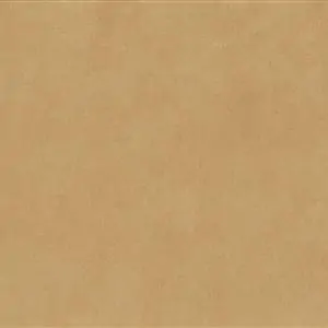 Camel 11