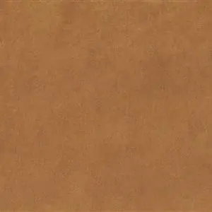 Tan 12