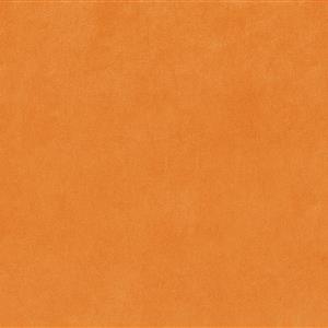 Apricot 23