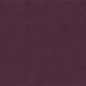 Plum 37