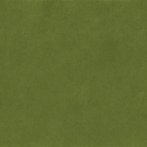 Grass 39