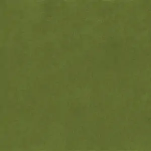 Grass 39