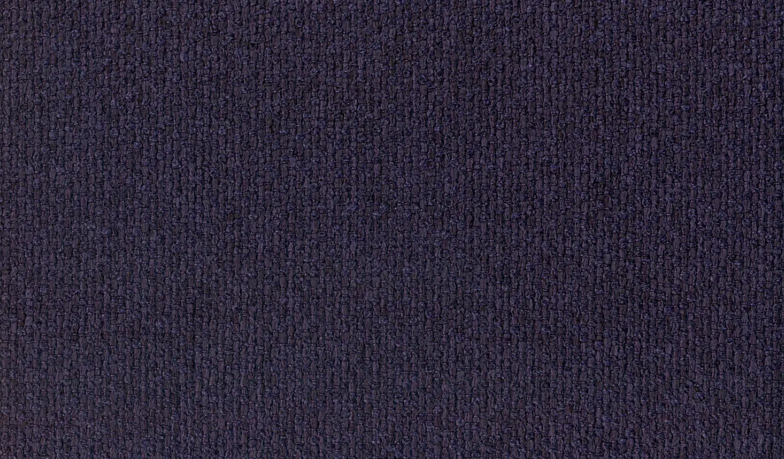 Plum 006