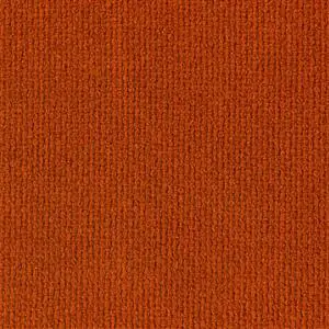 Carrot 301