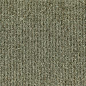 Sage 801