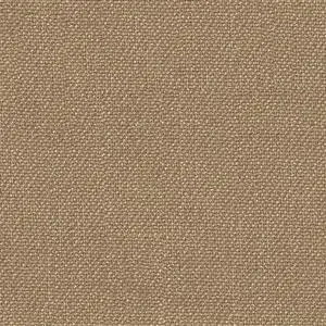 Tan 13