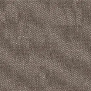 Taupe 14