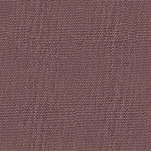 Grape 19