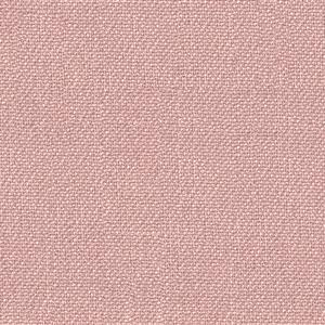 Peony 21