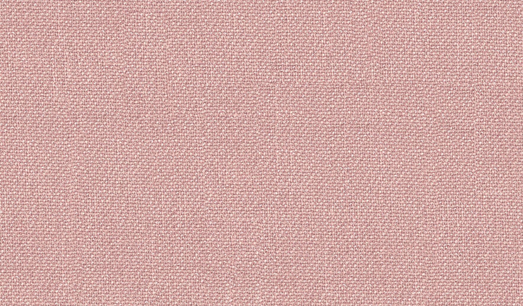 Peony 21
