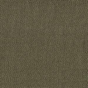 Olive 26