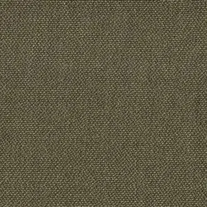 Olive 26