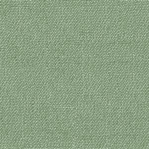 Mint 27