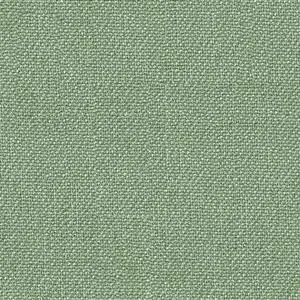 Mint 27