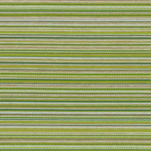 Lime 1011