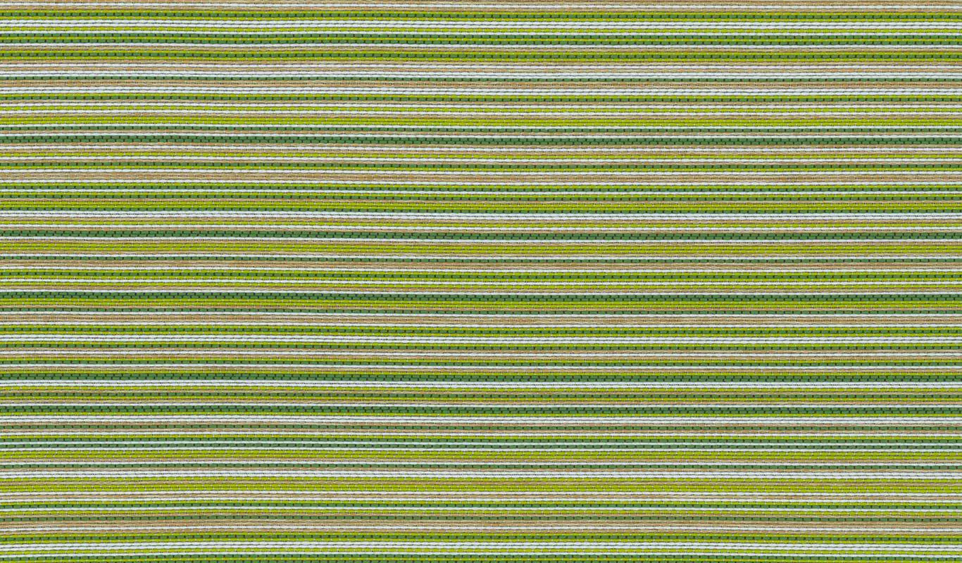 Lime 1011