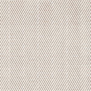 White 519