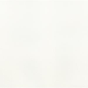 White 511