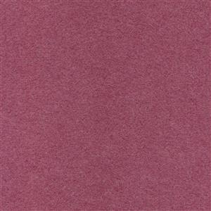 CROCUS 601